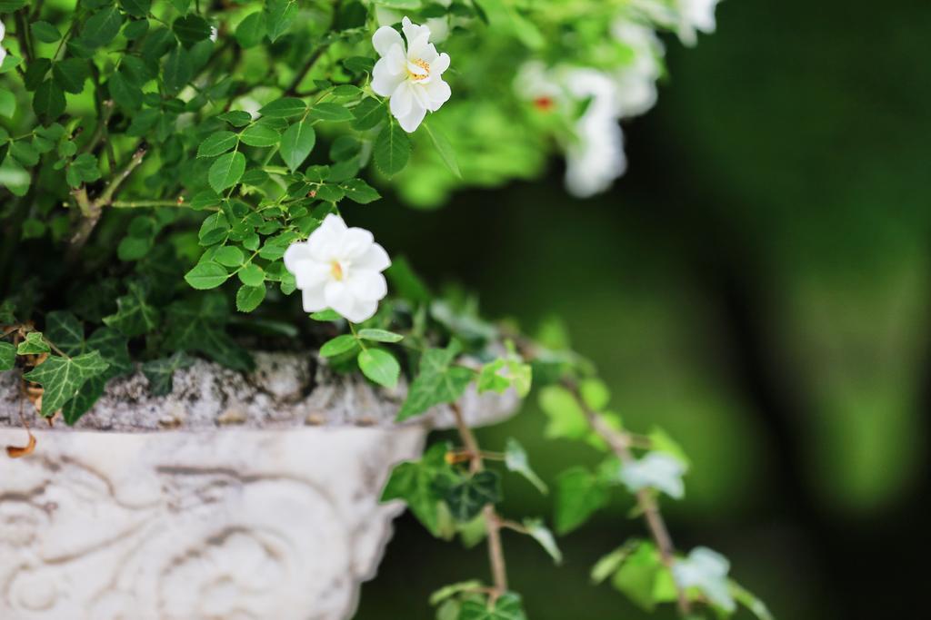 Gb House Bed & Breakfast Turin Bagian luar foto